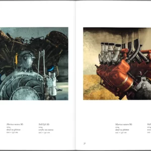 Kiwerski. Malarstwo - obrazek 5