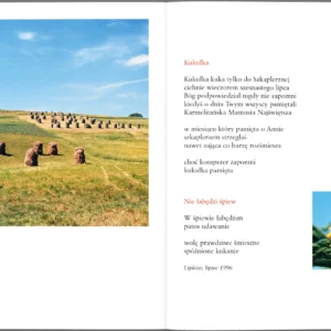 Polski rok - obrazek 6