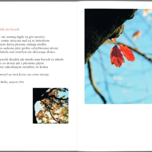 Polski rok - obrazek 7