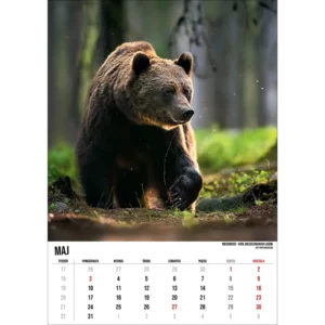 Kalendarz Bieszczady 2027 A3 - obrazek 7